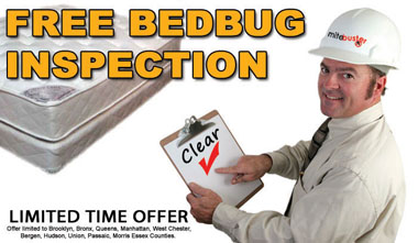 Bedbug Exterminator NY