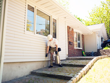 Pigeons Removal in New Jersey