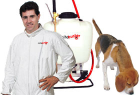 BedBug Exterminator NY, NJ