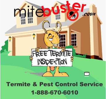 Termite Exterminator NJ